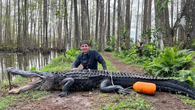 The Five Largest Alligators Ever Found in Florida